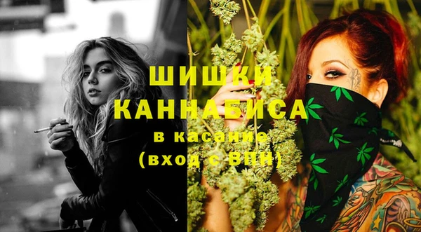 ПСИЛОЦИБИНОВЫЕ ГРИБЫ Верея