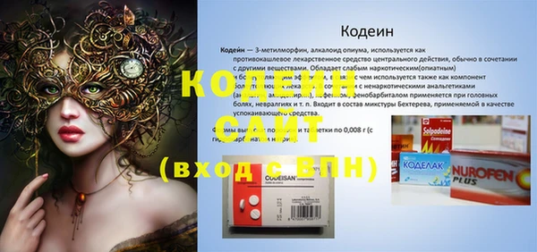 ПСИЛОЦИБИНОВЫЕ ГРИБЫ Верея