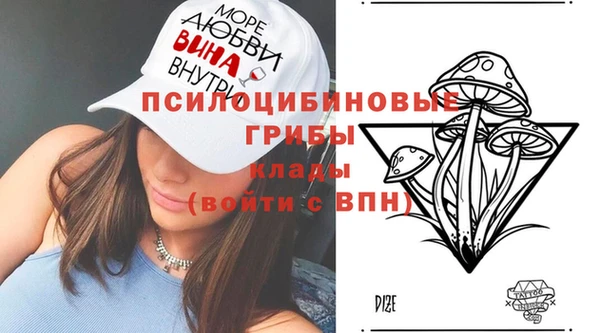 ПСИЛОЦИБИНОВЫЕ ГРИБЫ Верея