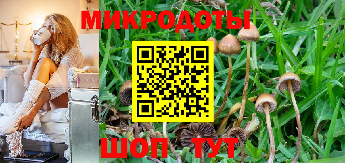 Псилоцибиновые грибы прущие грибы  Вход с VPN  Новочебоксарск 